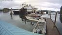 ./images/quadra/hbidock/20240329/hbidock20240329_105501M.jpg