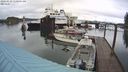 ./images/quadra/hbidock/20240329/hbidock20240329_110001M.jpg