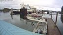 ./images/quadra/hbidock/20240329/hbidock20240329_110501M.jpg