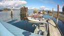 ./images/quadra/hbidock/20240329/hbidock20240329_140501M.jpg