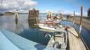 ./images/quadra/hbidock/20240329/hbidock20240329_141501M.jpg