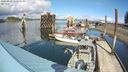 ./images/quadra/hbidock/20240329/hbidock20240329_142001M.jpg