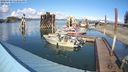 ./images/quadra/hbidock/20240329/hbidock20240329_153501M.jpg