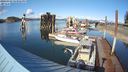 ./images/quadra/hbidock/20240329/hbidock20240329_163001M.jpg