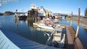 ./images/quadra/hbidock/20240329/hbidock20240329_165001M.jpg