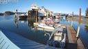 ./images/quadra/hbidock/20240329/hbidock20240329_170002M.jpg