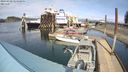 ./images/quadra/hbidock/20240330/hbidock20240330_144501M.jpg