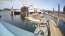 ./images/quadra/hbidock/20240330/hbidock20240330_145001M.jpg