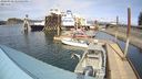 ./images/quadra/hbidock/20240330/hbidock20240330_145501M.jpg