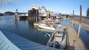 ./images/quadra/hbidock/20240330/hbidock20240330_164001M.jpg