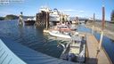 ./images/quadra/hbidock/20240330/hbidock20240330_165001M.jpg