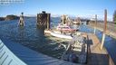 ./images/quadra/hbidock/20240330/hbidock20240330_173001M.jpg