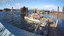 ./images/quadra/hbidock/20240330/hbidock20240330_180001M.jpg