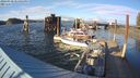 ./images/quadra/hbidock/20240330/hbidock20240330_181001M.jpg
