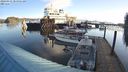 ./images/quadra/hbidock/20240331/hbidock20240331_084001M.jpg