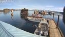 ./images/quadra/hbidock/20240331/hbidock20240331_101001M.jpg