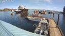 ./images/quadra/hbidock/20240331/hbidock20240331_103502M.jpg