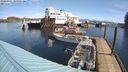 ./images/quadra/hbidock/20240331/hbidock20240331_105501M.jpg