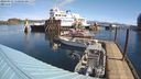 ./images/quadra/hbidock/20240331/hbidock20240331_110502M.jpg