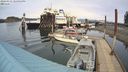 ./images/quadra/hbidock/20240331/hbidock20240331_145001M.jpg