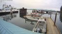 ./images/quadra/hbidock/20240401/hbidock20240401_104501M.jpg