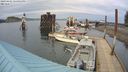 ./images/quadra/hbidock/20240401/hbidock20240401_154001M.jpg