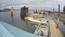 ./images/quadra/hbidock/20240401/hbidock20240401_155001M.jpg