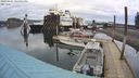 ./images/quadra/hbidock/20240401/hbidock20240401_165502M.jpg