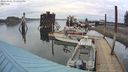 ./images/quadra/hbidock/20240401/hbidock20240401_171501M.jpg