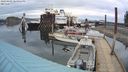 ./images/quadra/hbidock/20240401/hbidock20240401_184502M.jpg