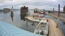 ./images/quadra/hbidock/20240401/hbidock20240401_185502M.jpg
