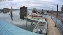 ./images/quadra/hbidock/20240401/hbidock20240401_192502M.jpg