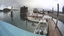 ./images/quadra/hbidock/20240402/hbidock20240402_181002M.jpg
