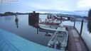 ./images/quadra/hbidock/20240403/hbidock20240403_065002M.jpg