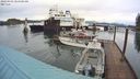 ./images/quadra/hbidock/20240403/hbidock20240403_084501M.jpg