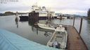 ./images/quadra/hbidock/20240403/hbidock20240403_090001M.jpg