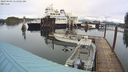 ./images/quadra/hbidock/20240403/hbidock20240403_111002M.jpg