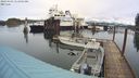 ./images/quadra/hbidock/20240403/hbidock20240403_111502M.jpg