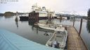 ./images/quadra/hbidock/20240403/hbidock20240403_112002M.jpg