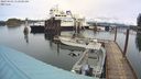 ./images/quadra/hbidock/20240403/hbidock20240403_112501M.jpg