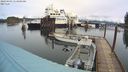 ./images/quadra/hbidock/20240403/hbidock20240403_113001M.jpg