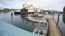 ./images/quadra/hbidock/20240403/hbidock20240403_115001M.jpg