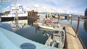 ./images/quadra/hbidock/20240403/hbidock20240403_133501M.jpg
