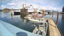 ./images/quadra/hbidock/20240403/hbidock20240403_134001M.jpg