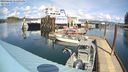 ./images/quadra/hbidock/20240403/hbidock20240403_135001M.jpg