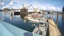 ./images/quadra/hbidock/20240403/hbidock20240403_141001M.jpg