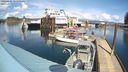 ./images/quadra/hbidock/20240403/hbidock20240403_141501M.jpg
