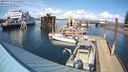 ./images/quadra/hbidock/20240403/hbidock20240403_154501M.jpg