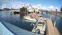 ./images/quadra/hbidock/20240403/hbidock20240403_155002M.jpg