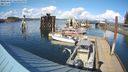 ./images/quadra/hbidock/20240403/hbidock20240403_161501M.jpg